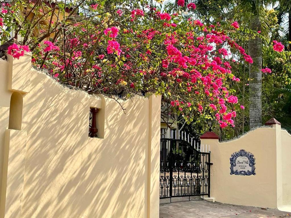 David Villa Nerul  Dış mekan fotoğraf